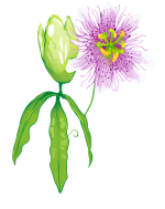 Vind rust en balans met persoonlijke begeleiding Vind rust en balans met persoonlijke begeleiding