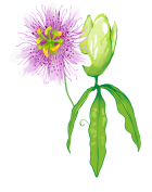 Vind rust en balans met persoonlijke begeleiding_1