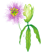 Vind rust en balans met persoonlijke begeleiding_1 Vind rust en balans met persoonlijke begeleiding_1