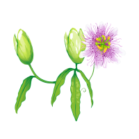 Vind rust en balans met persoonlijke begeleiding_2 Vind rust en balans met persoonlijke begeleiding_2